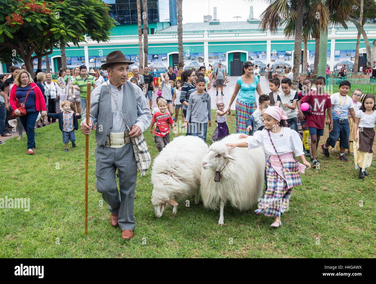 Las Palmas, Gran Canaria, Canary Islands, Spain. 15th October, 2016. A man and a young girl in traditional dress walk their well groomed Sheep through Las Palmas city as they make their way to  one of the city`s most important fiestas. Credit:  Alan Dawson News/Alamy Live News Stock Photo