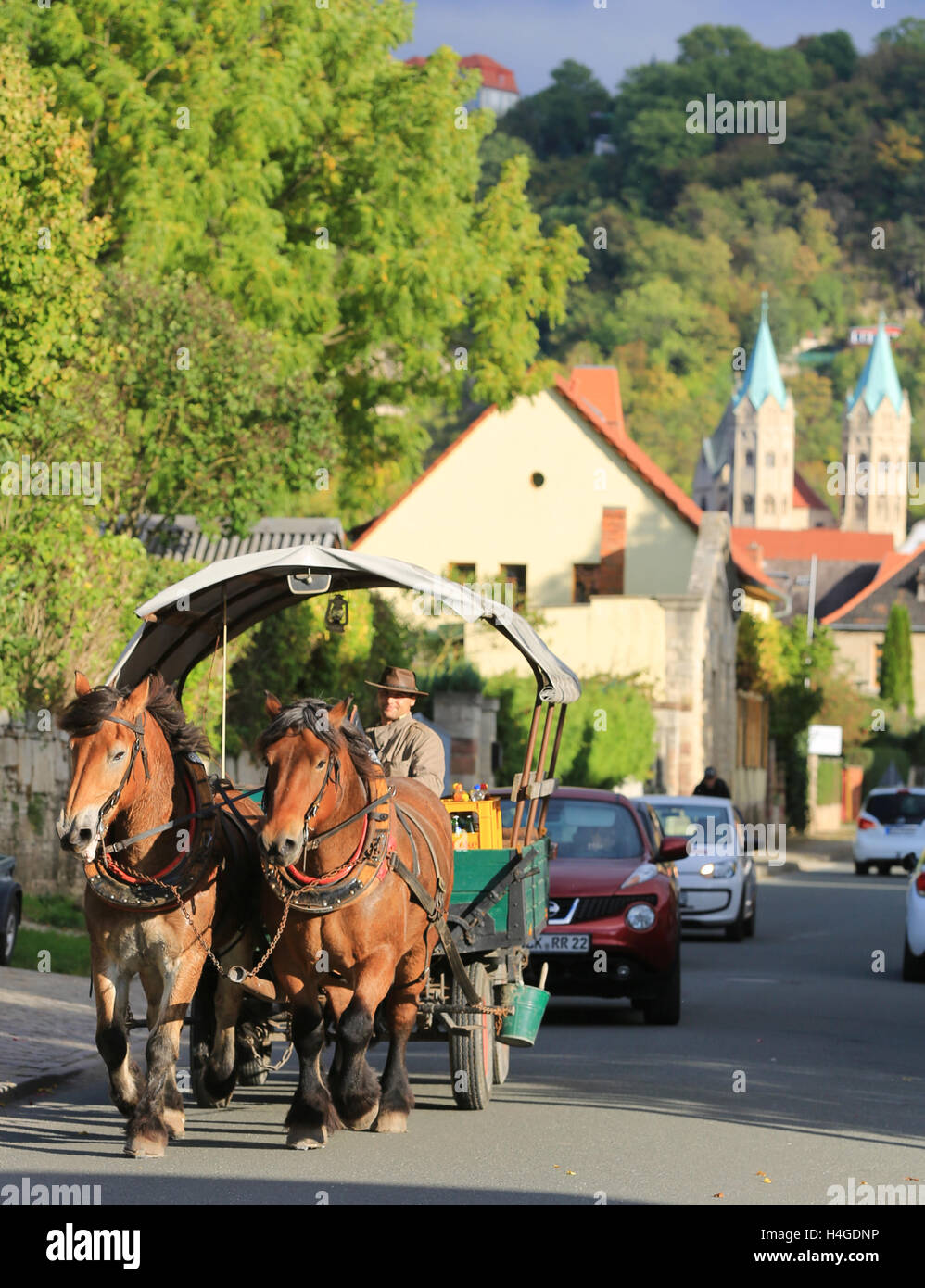 A horse carriage drives on a small street in Freyburg/Unstrut, 15 October 2016. The great autumn weather is supposed to prevail in the coming days. Photo: Peter Gercke/dpa - NO WIRE SERVICE - Stock Photo
