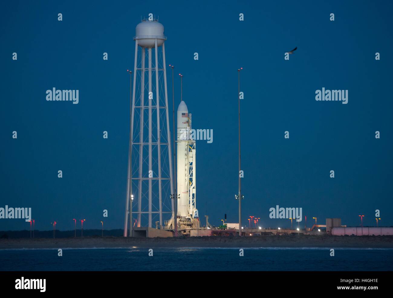 Wallops, Virginia, USA. 15th Oct, 2016. The Orbital ATK Antares rocket with the Cygnus spacecraft onboard, is in ready position at launch Pad-0A in early dawn at NASA Wallops Flight Facility October 15, 2016 in Wallops, Virginia. The Antares will launch with the Cygnus spacecraft filled with over 5,100 pounds of supplies for the International Space Station. Credit:  Planetpix/Alamy Live News Stock Photo