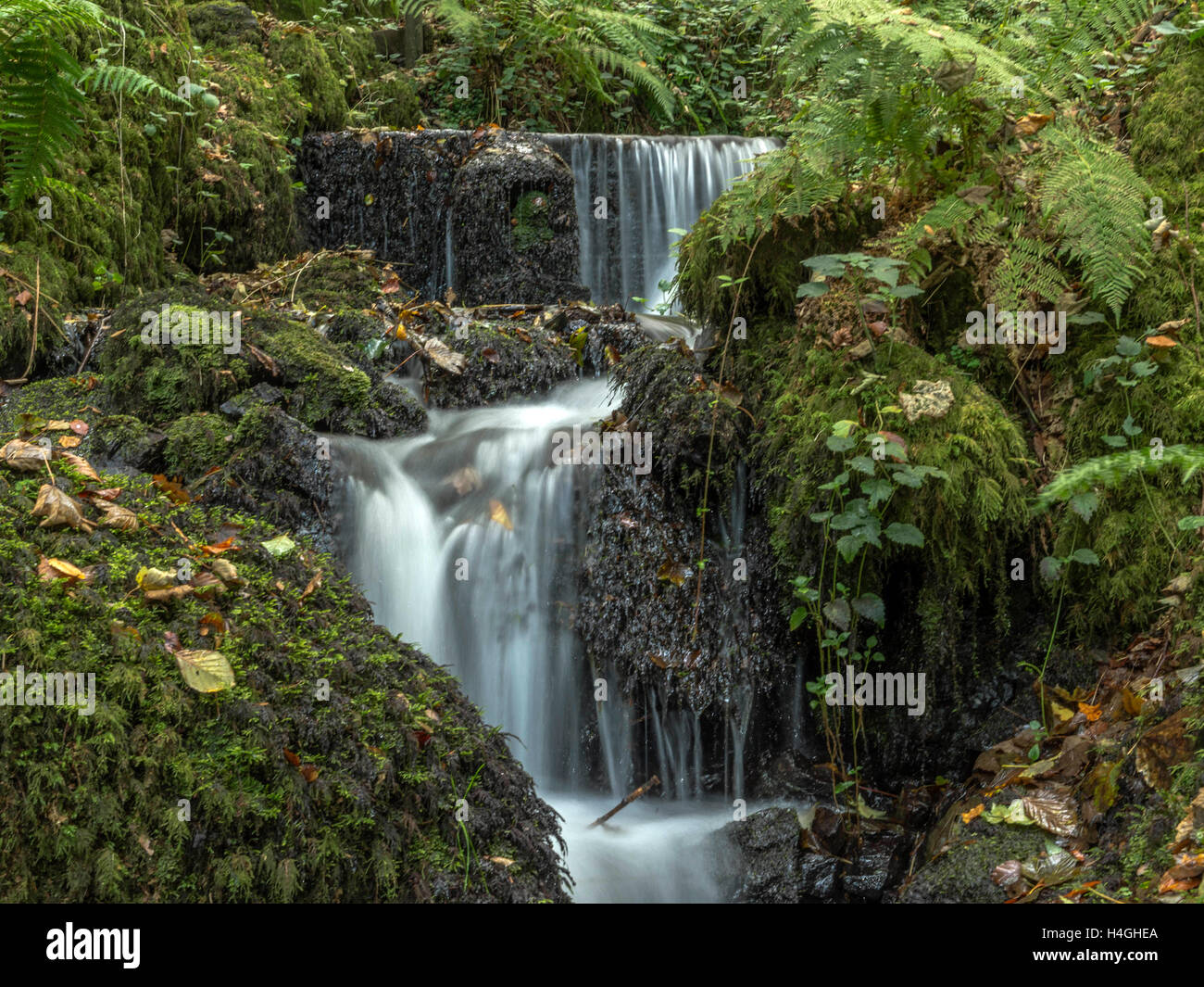 Image sequence depicting the beautiful River Teign waterfalls in and