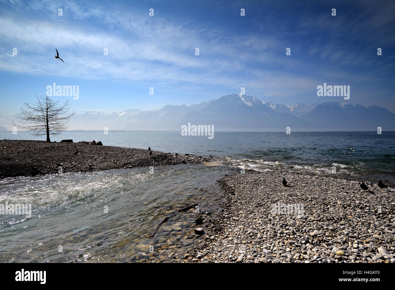 Switzerland Landscape : Geneva Lake of Montreux Stock Photo