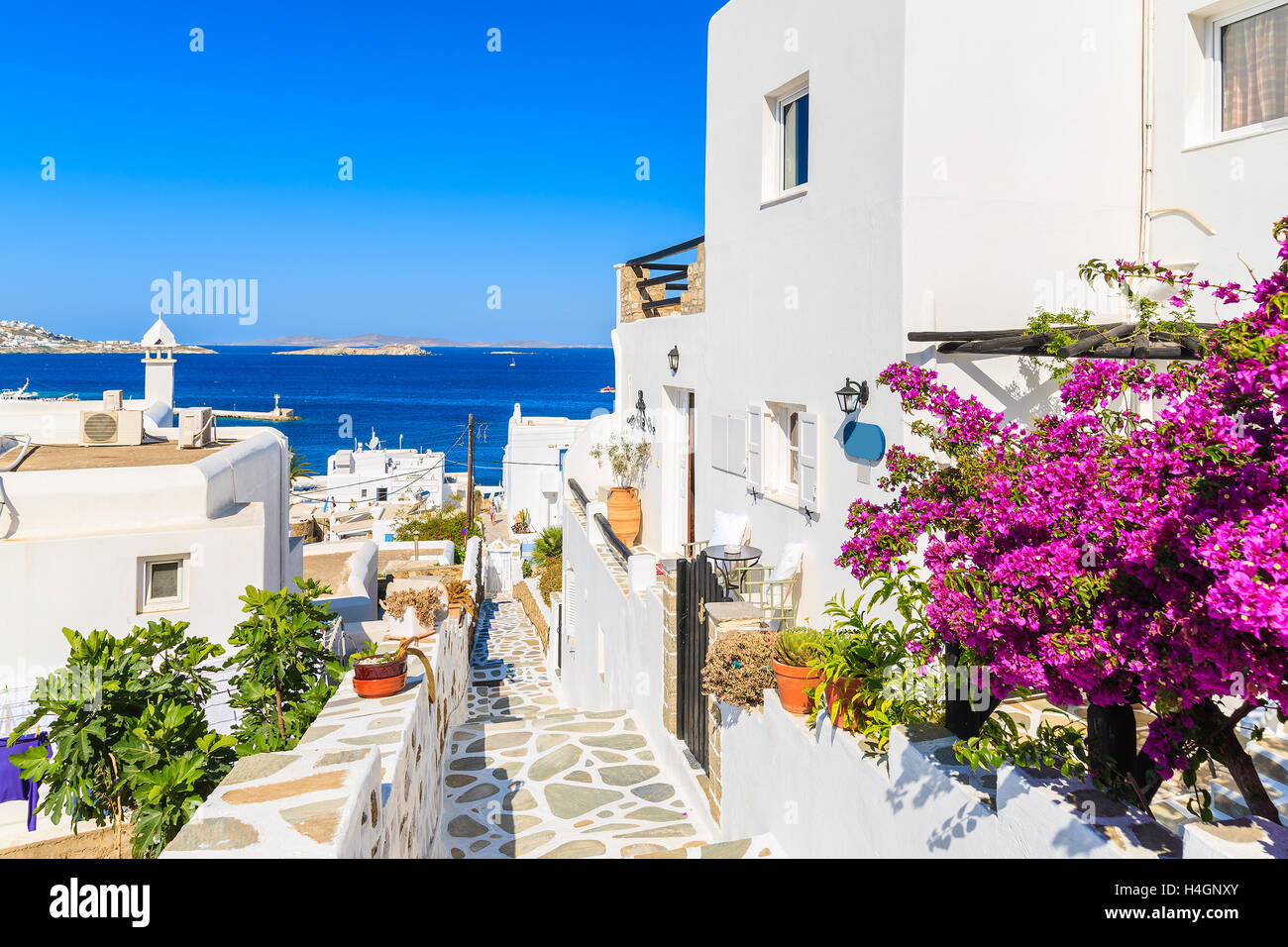 A view of whitewashed street with flowers in beautiful Mykonos town, Cyclades islands, Greece Stock Photo