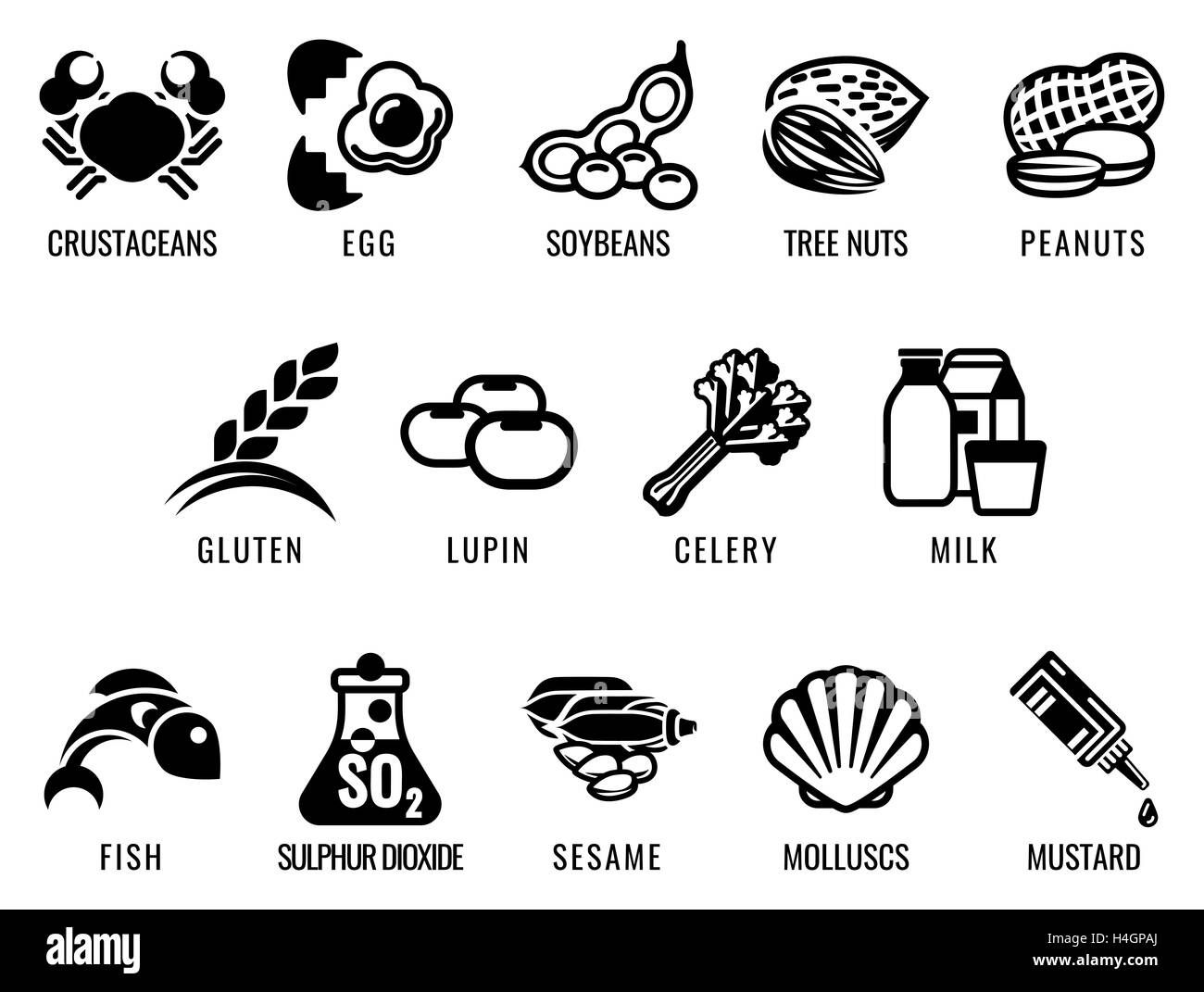 Food allergy icons including the 14 food allergies outlined by the EU Food Information for Consumers Regulation EFSA European Fo Stock Photo