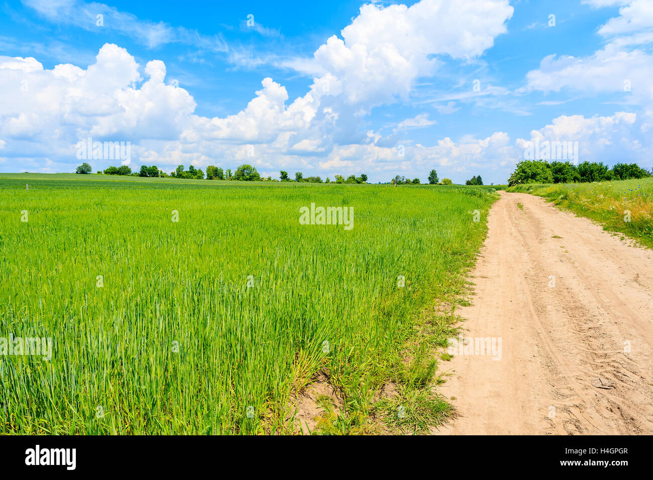 Scenic rural road and green fields in summer landscape, Poland Stock Photo
