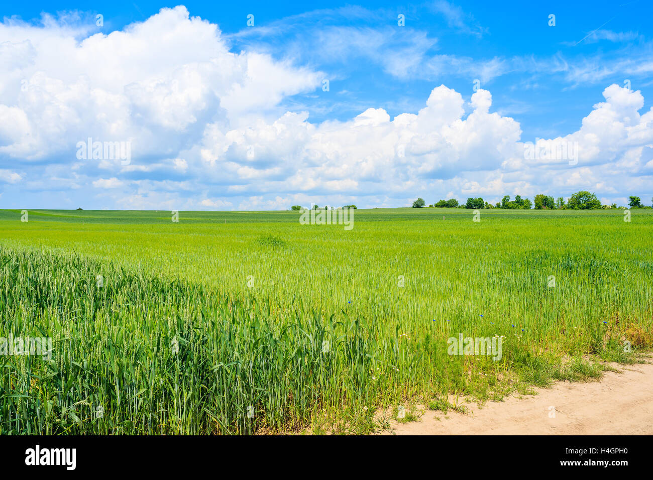 Summer sky and cloud scenery hi-res stock photography and images - Alamy