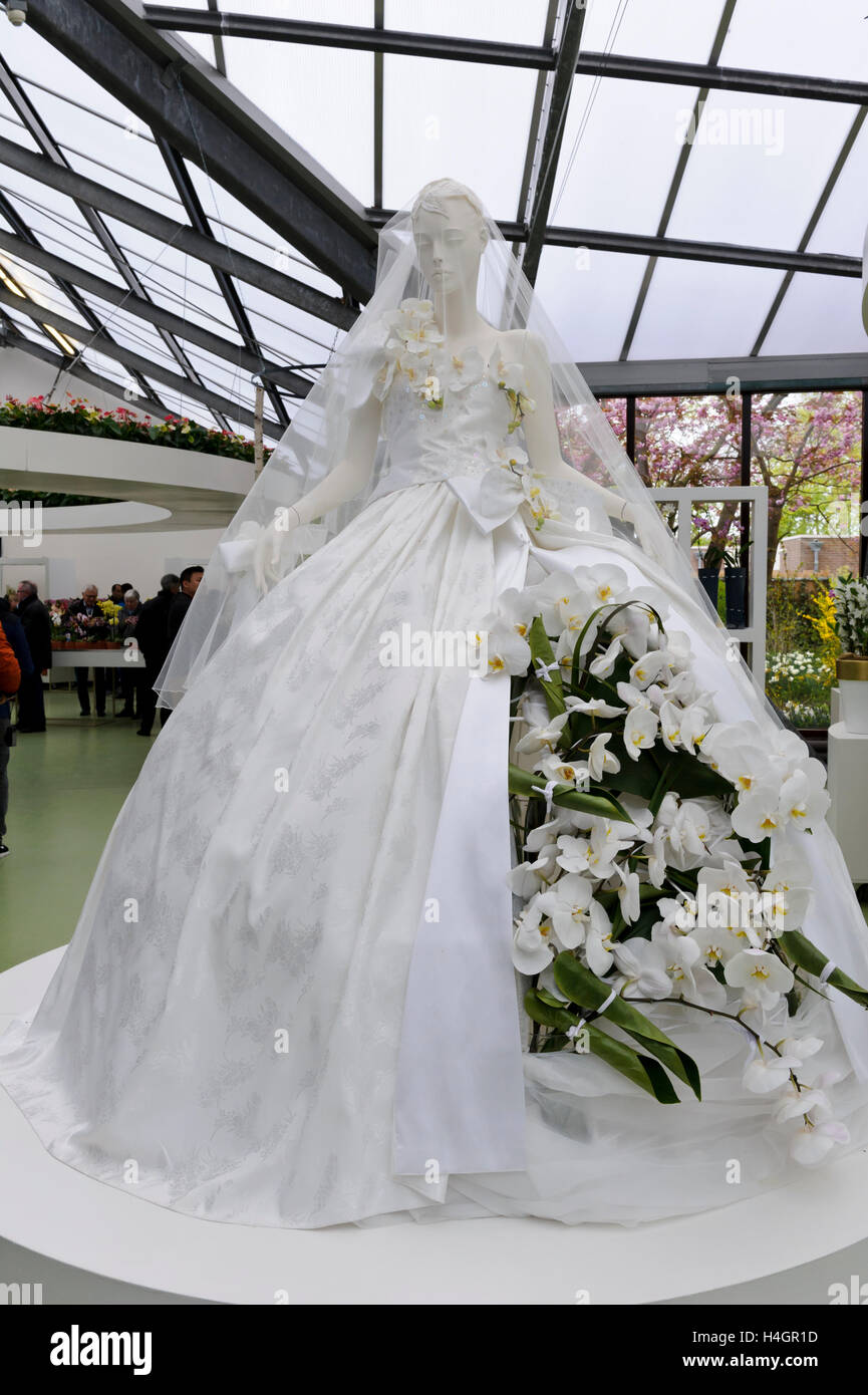 A Bridal Dress Decorated With White Orchids Flowers At Keukenhof