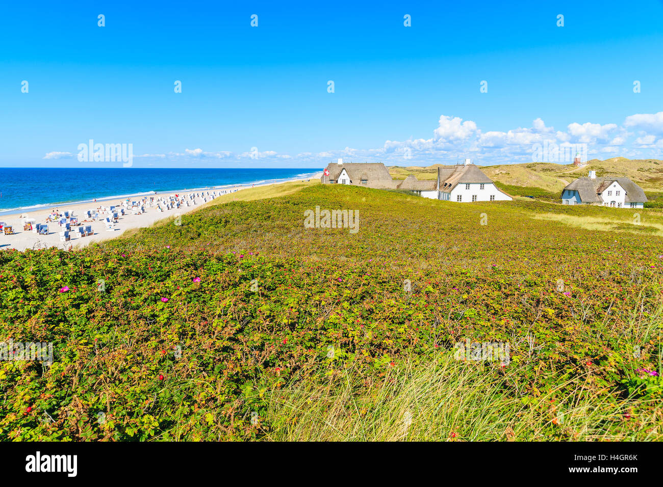 Typical Frisian houses with straw roofs on cliff at Kampen beach, Sylt island, Germany Stock Photo