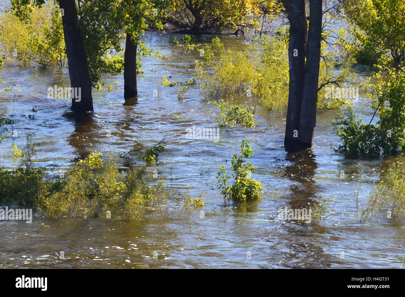 High Water Level in the River Stock Photo Alamy