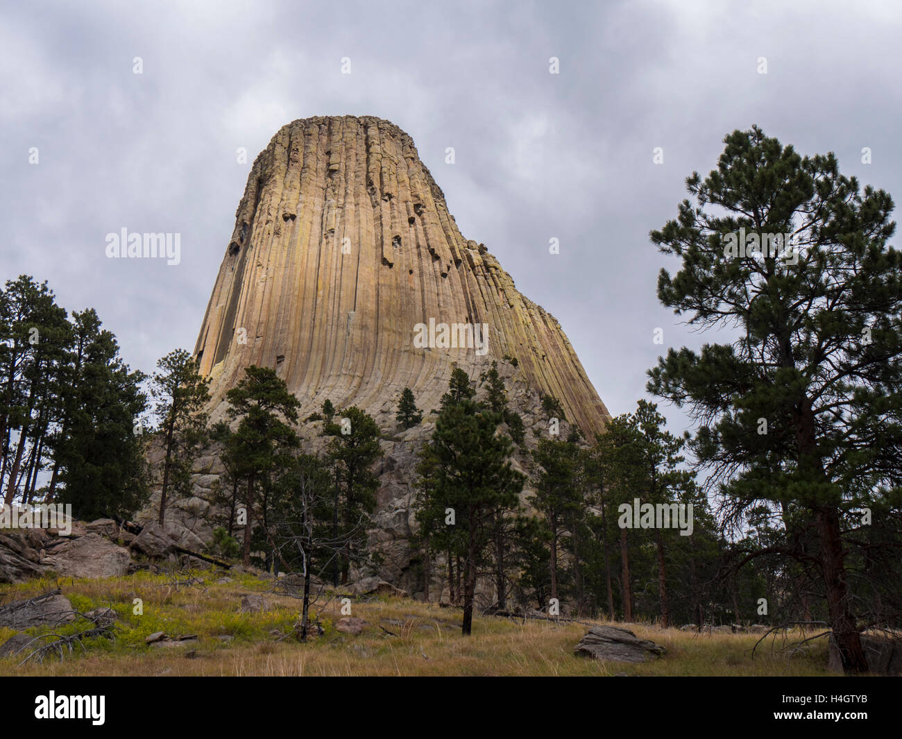Devil's Tower from the Red Beds Trail, Devil's Tower National Monument