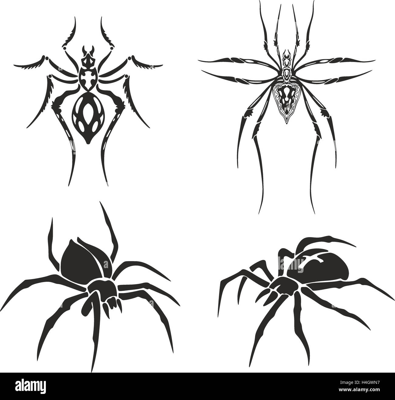 traditional spider tattoo drawing