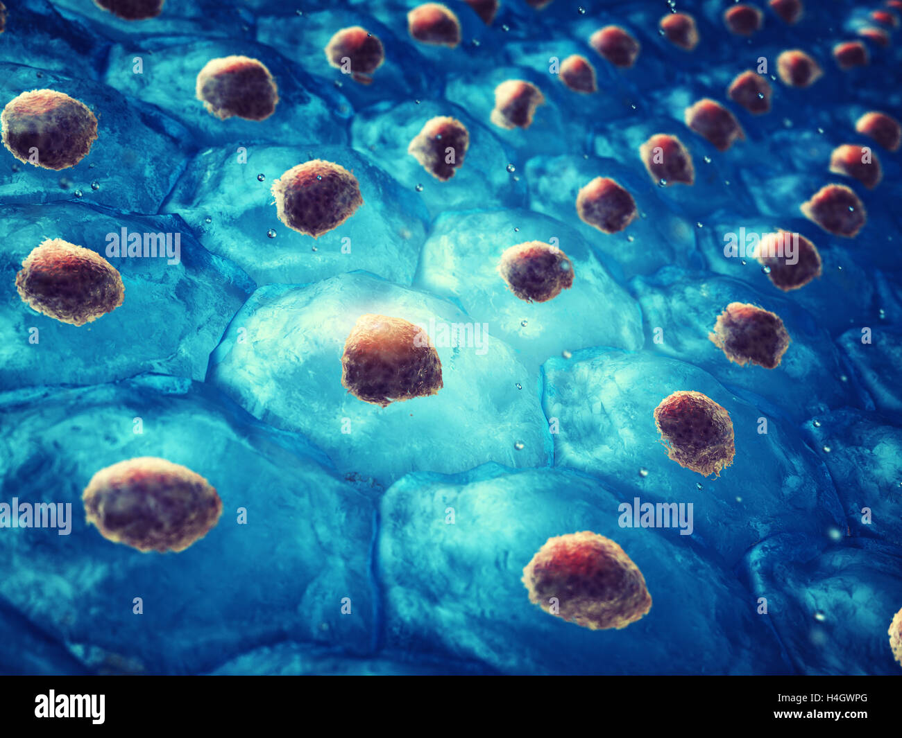 Embryonic stem cell colony , Cellular therapy , Regeneration , Disease treatment Stock Photo