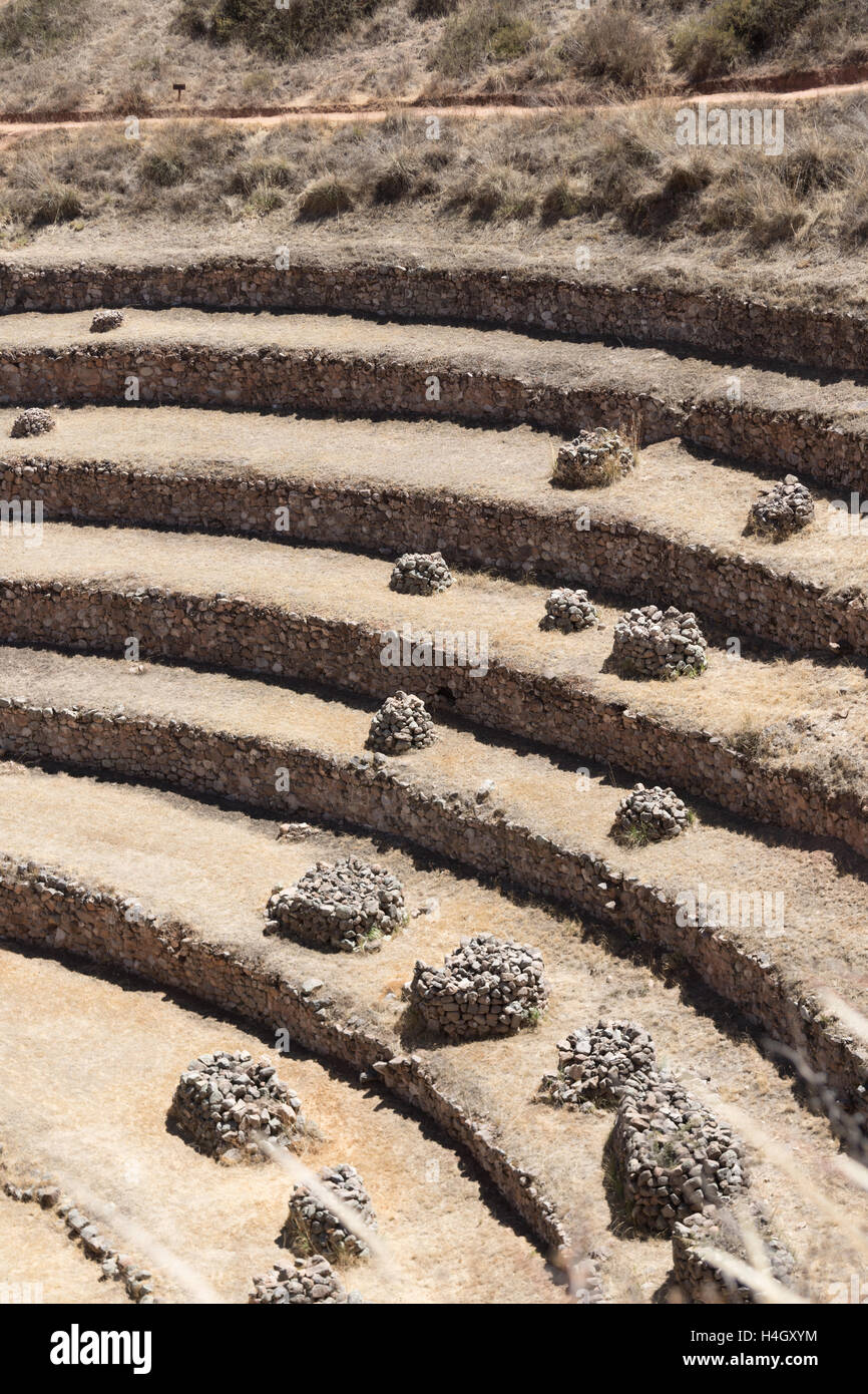 Detail of the stone farming terraces at Moray Archaeological Sight near Cusco, Peru Stock Photo