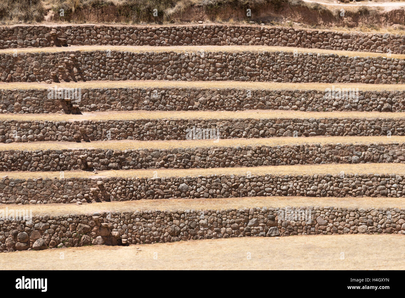 Detail of the stone farming terraces at Moray Archaeological Sight near Cusco, Peru Stock Photo