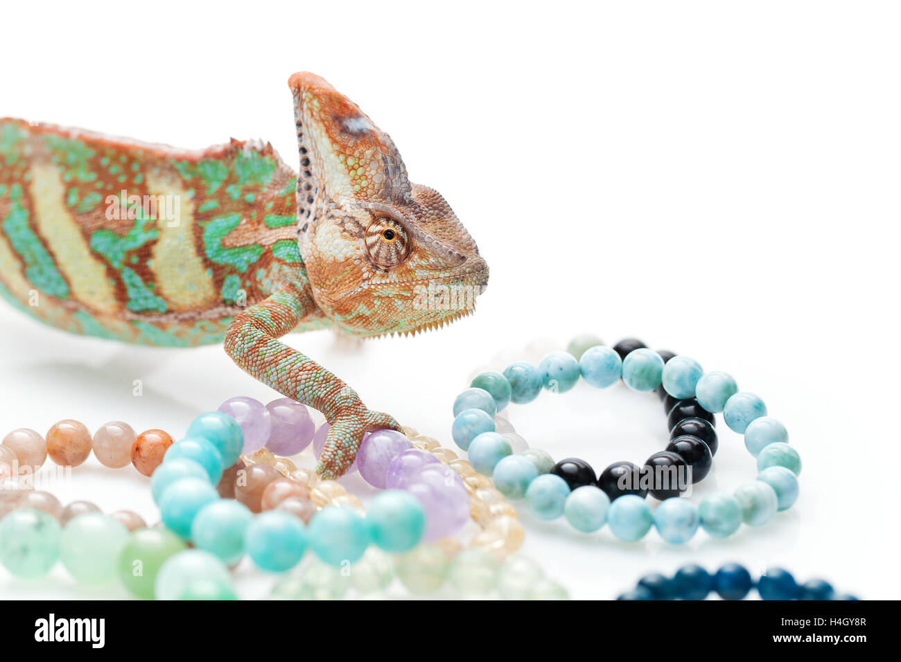 Beautiful chameleon with natural stone bracelets Stock Photo