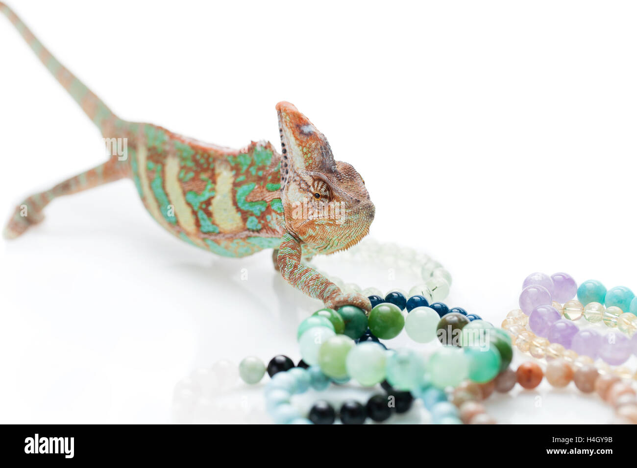 Beautiful chameleon with natural stone bracelets Stock Photo