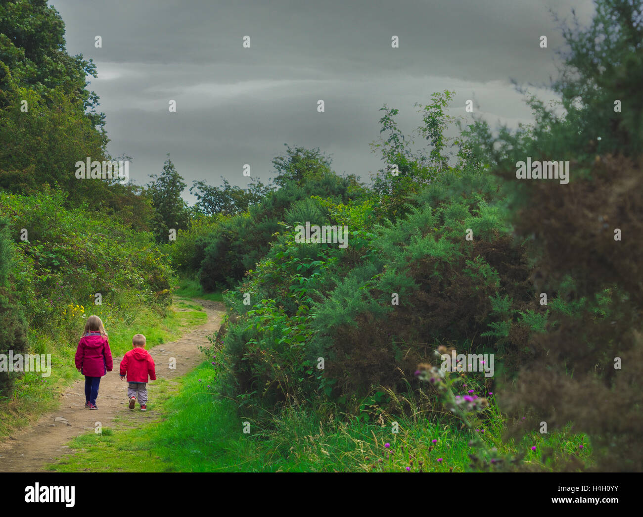 Brother and sister walking together on a path in the countryside in ...