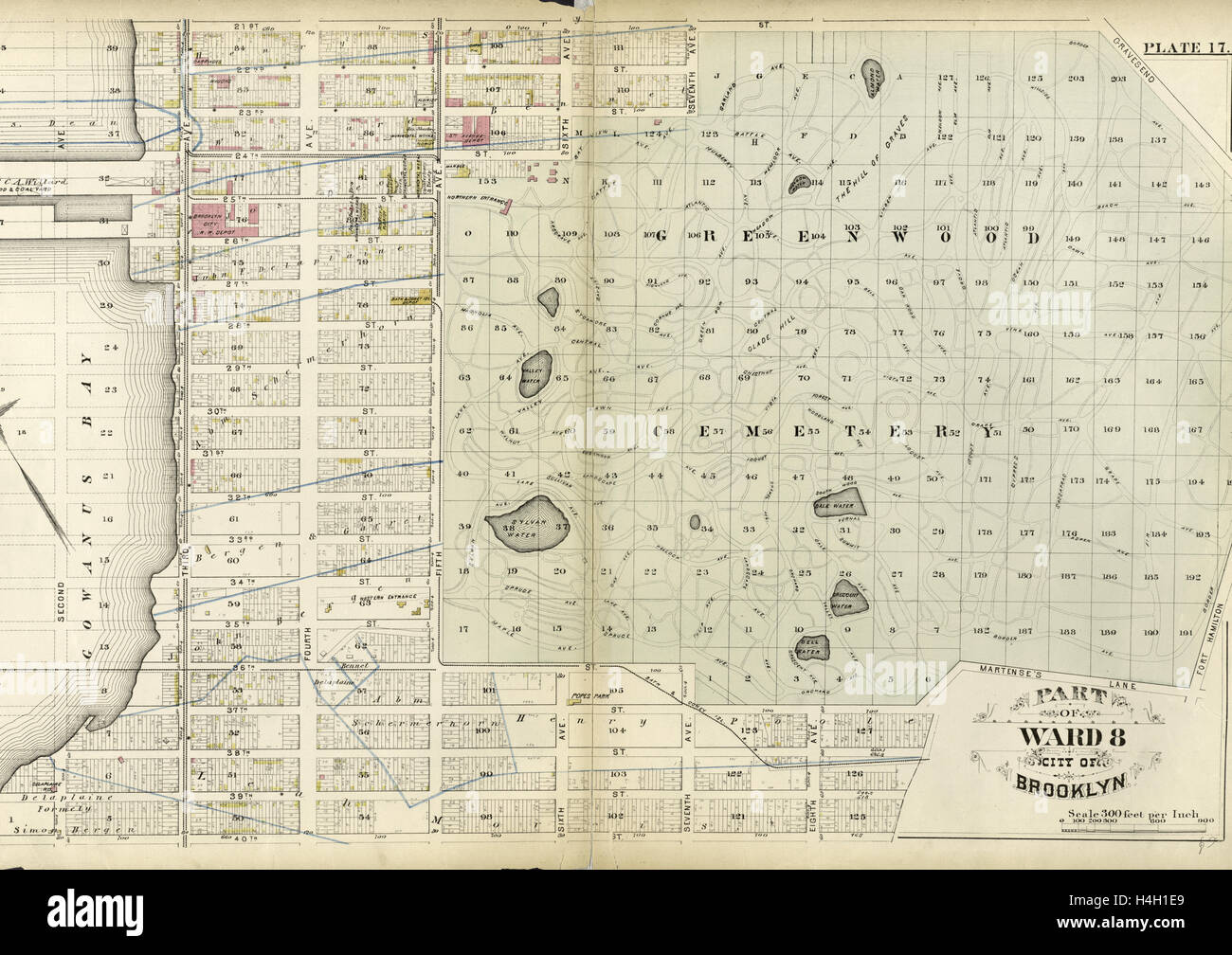 Plate 17: Part of Ward 8 City of Brooklyn, New York, USA Stock Photo