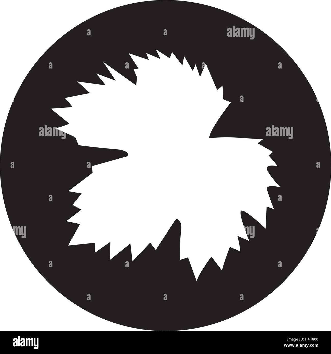 Backlit wine leaf Stock Vector Images - Alamy