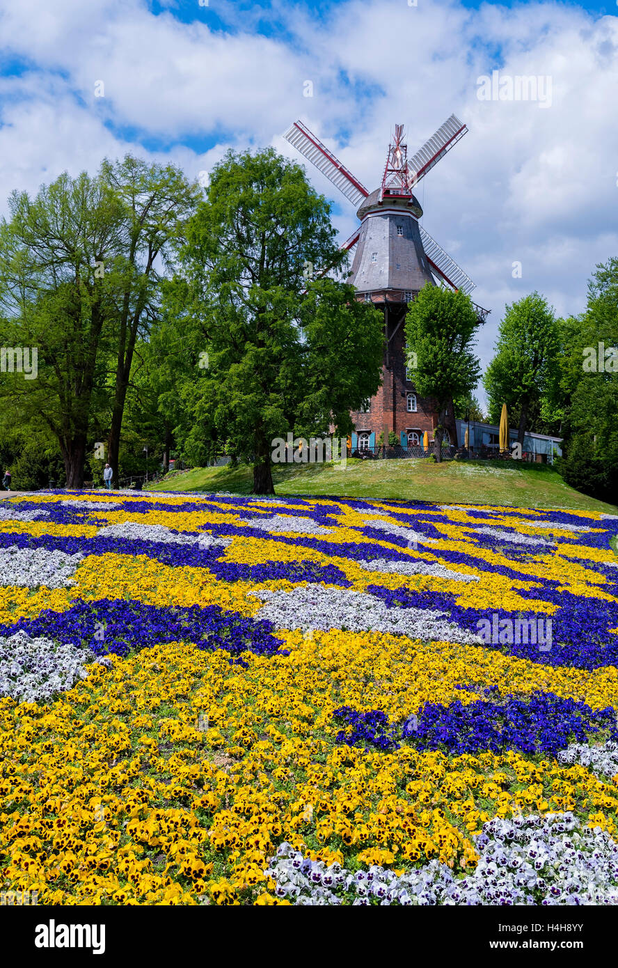 The Am Wall Windmill and ramparts, Bremen, Germany Stock Photo