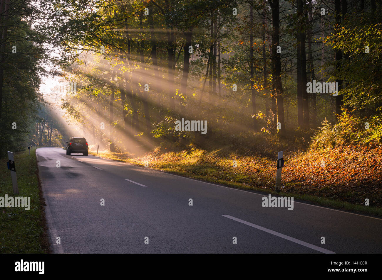 Rural Morning Driving During Autumn Sunrise Stock Photo