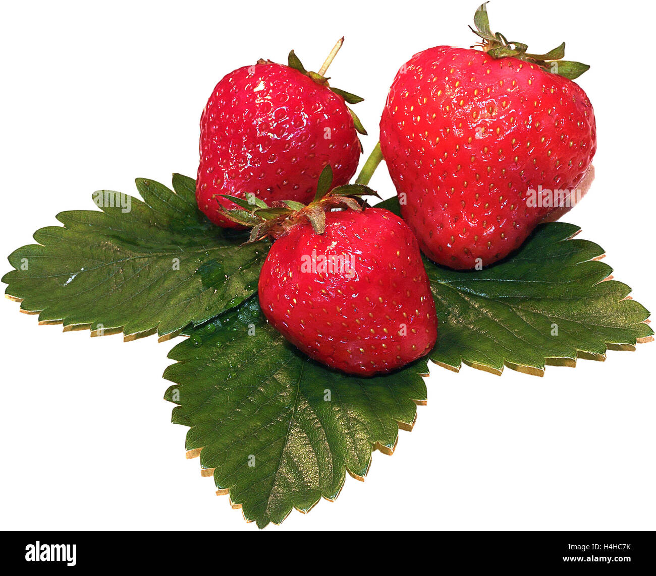 Fresh strawberries on summer , strawberries,seasonal fruits on spring,red fruit Stock Photo