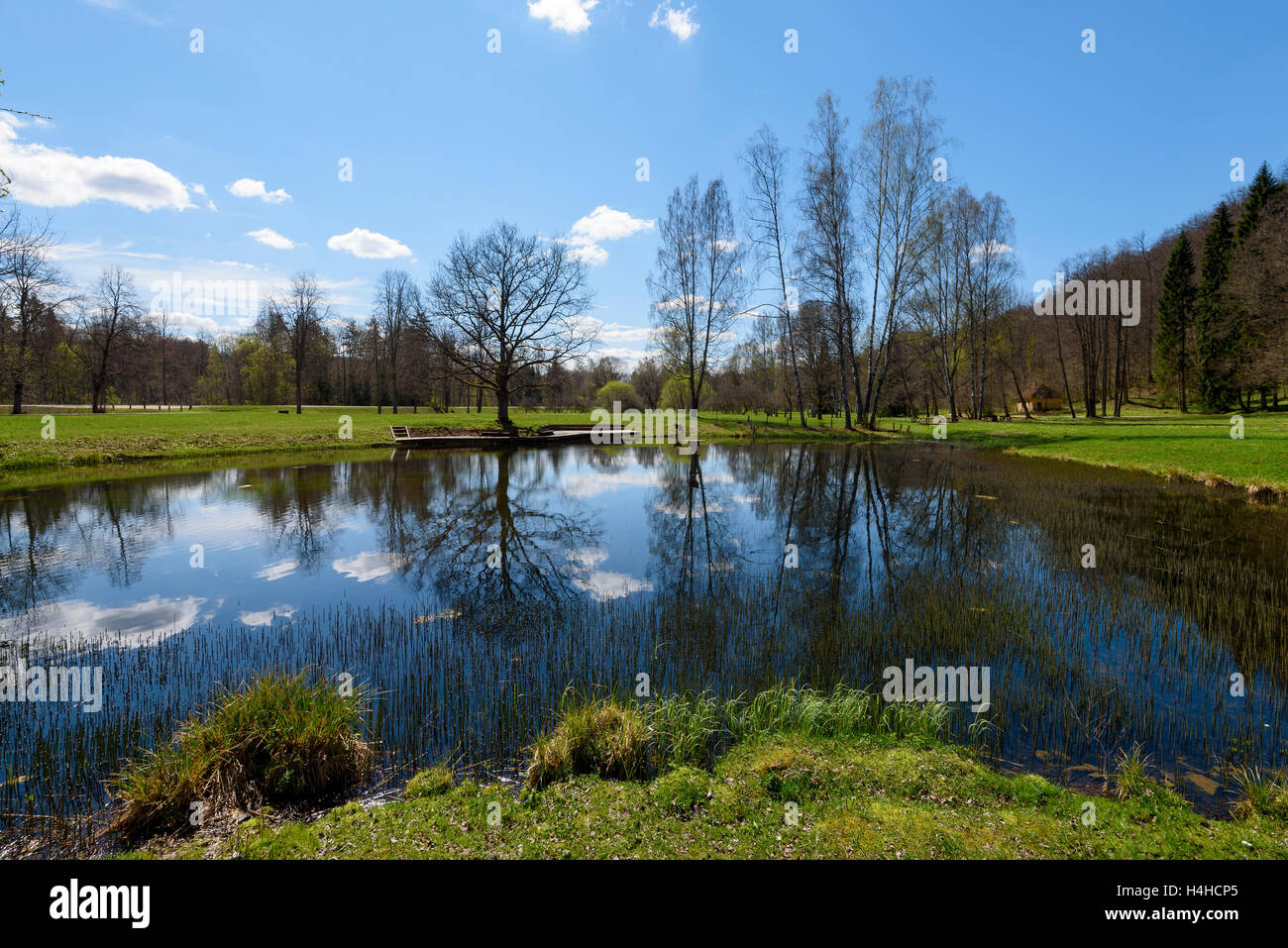 Sunny day, pond and reflection of the sky, clouds and surrounding ...
