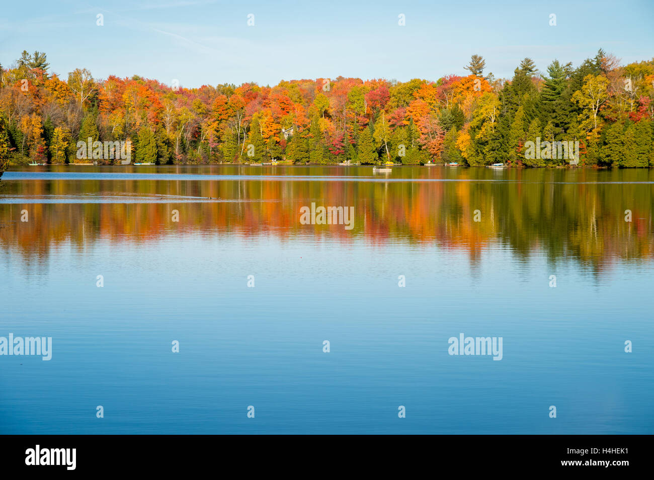 Autumn colors in Quebec, Canada (Lac SaintAmour in SainteAnnedes
