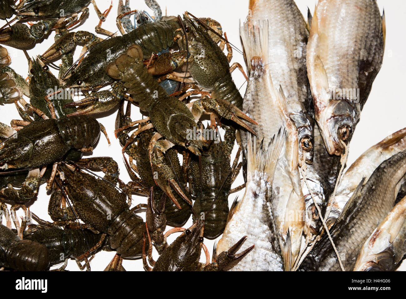 Dry fish and alive crayfish on white background. Dead dry salty fish