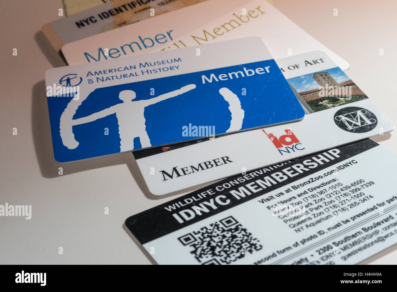 Collection of IDNYC Complimentary Membership Cards, NYC, USA Stock Photo