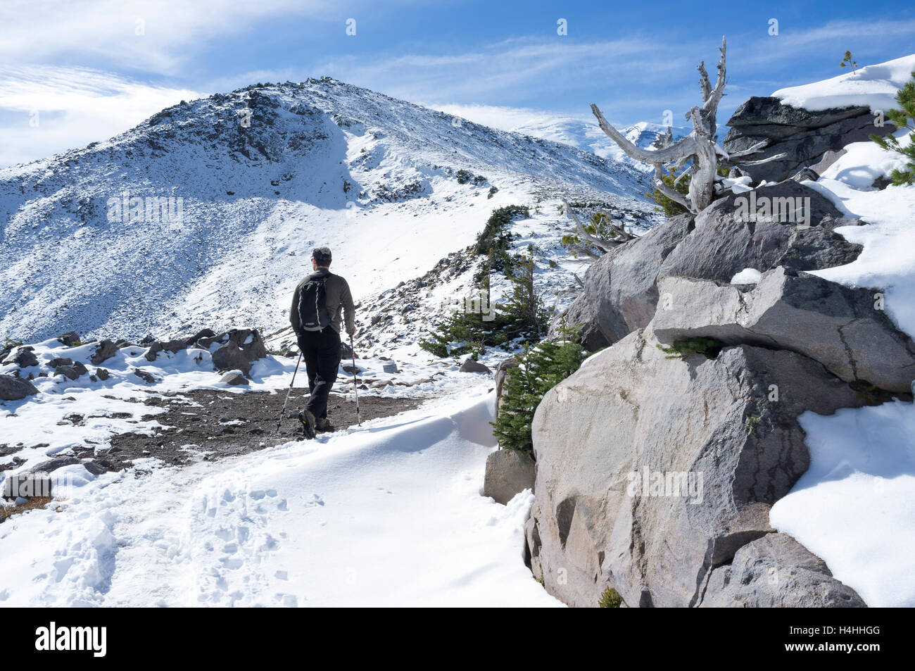 Mount Rainier National Park, Washington:  Man hiking along Sourdough Ridge Trail. In the distance is  Burroughs Mountain. Stock Photo