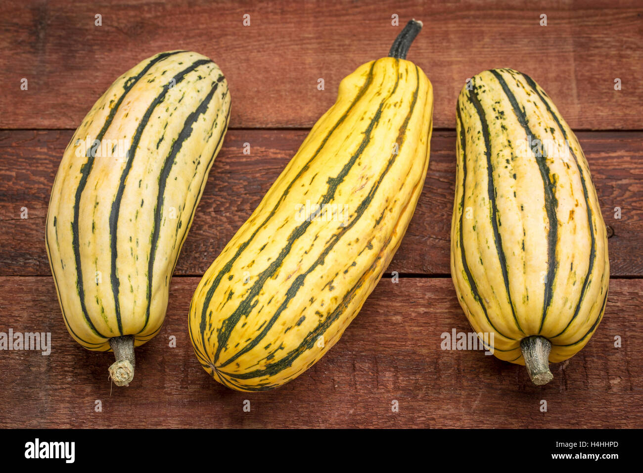 delicata winter squash against rustic red painted wood barn table Stock Photo