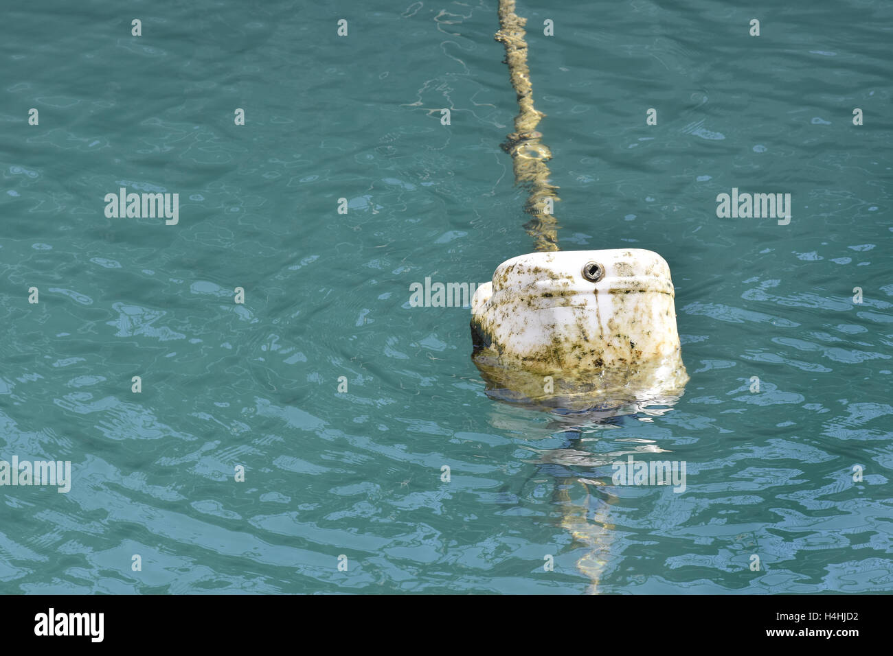 Dirty buoy made of plastic barrel attached to rope floating on green water surface. Stock Photo