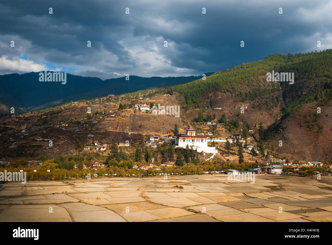 View across valley with rice paddies to Paro Dzong, Bhutan Stock Photo