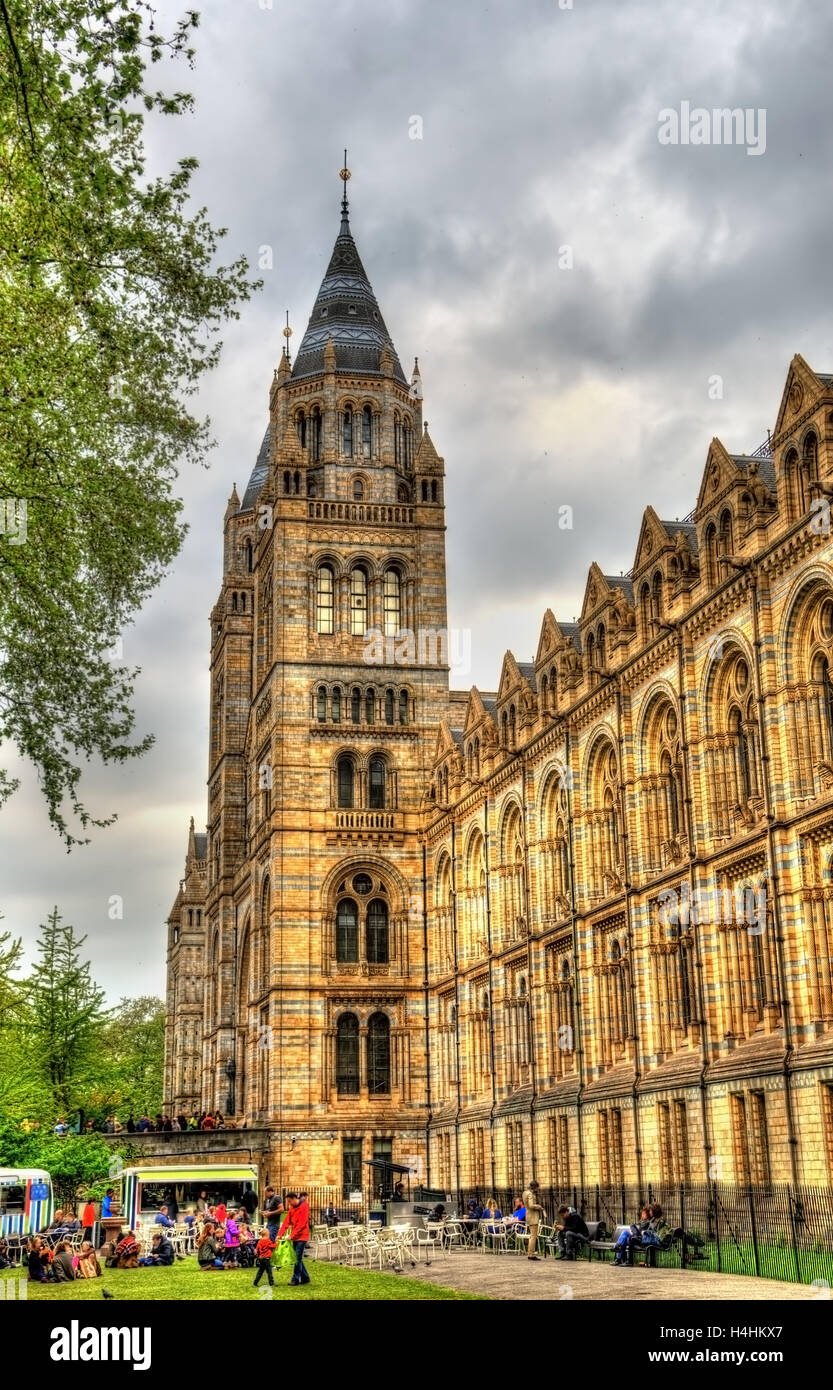 The Natural History Museum in London - United Kingdom Stock Photo