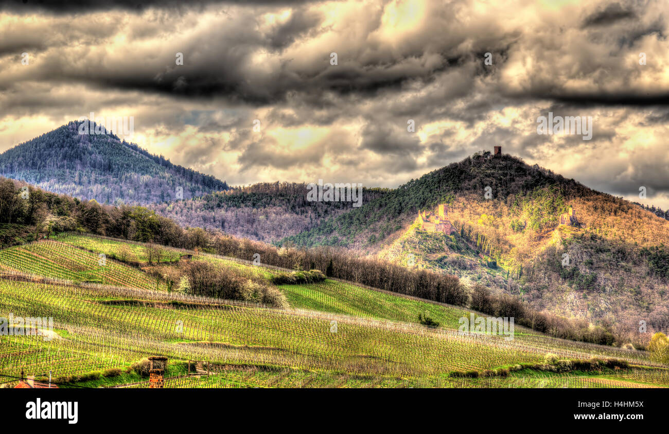 Famous wine route in the Vosges mountains Alsace, France Stock Photo