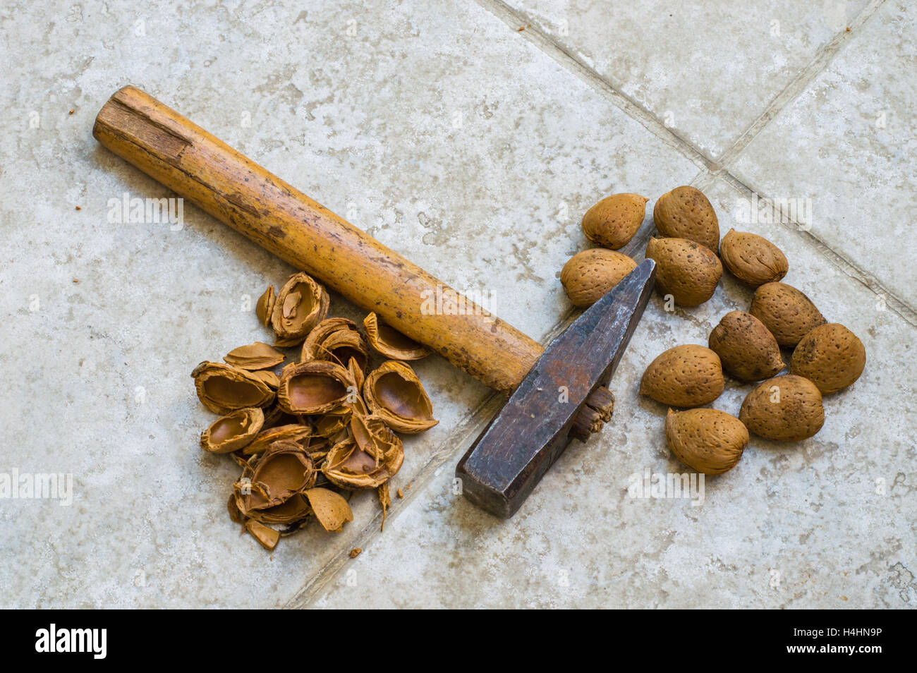 Fresh Organic Almonds With Shell and a Hammer Stock Photo