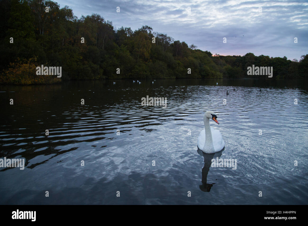 Golden Acre Park Leeds High Resolution Stock Photography and Images - Alamy