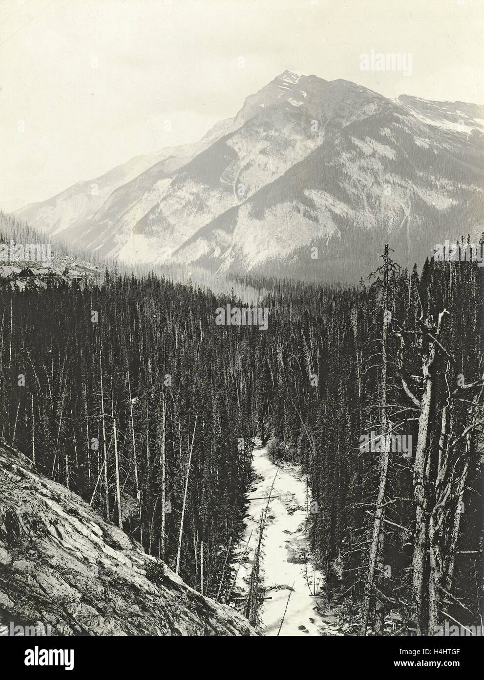 View over Kicking Horse Canyon, attributed to William Notman Stock Photo