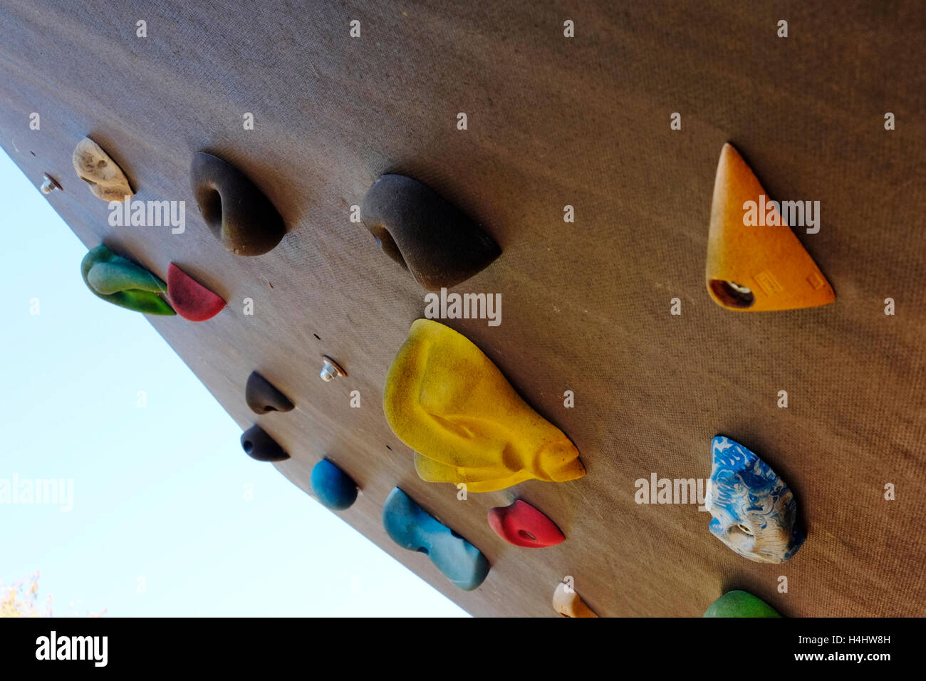 Climbing holds on a freeclimbing wall Stock Photo