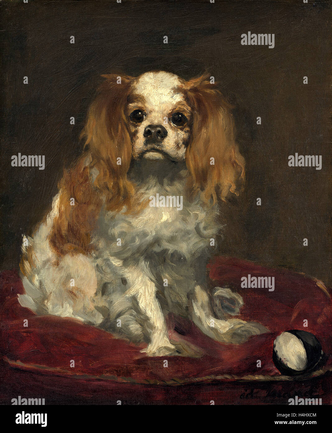 Edouard Manet (French, 1832 - 1883), A King Charles Spaniel, c. 1866, oil on linen Stock Photo