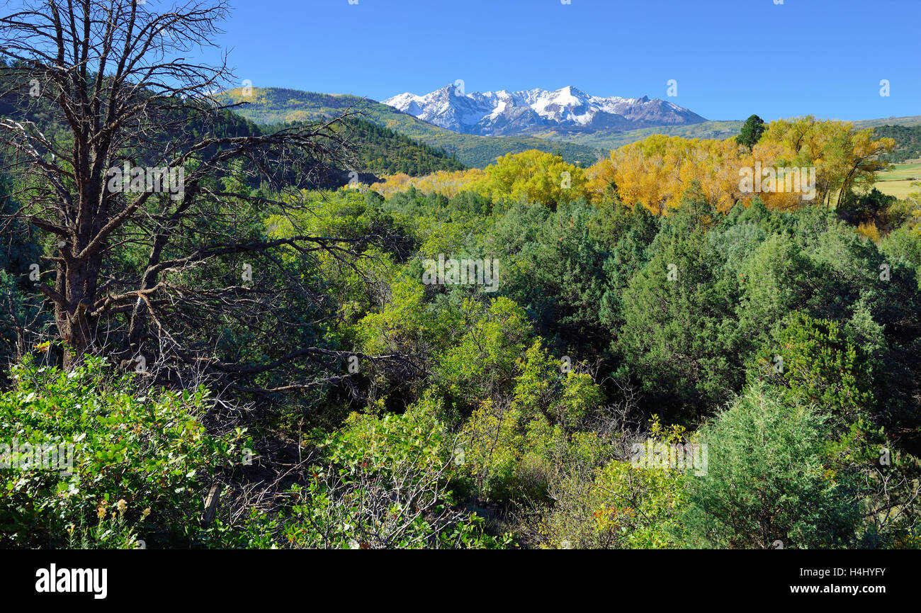 landscape view of the colorful colorado alpine scenery during foliage season near county road 7 Stock Photo