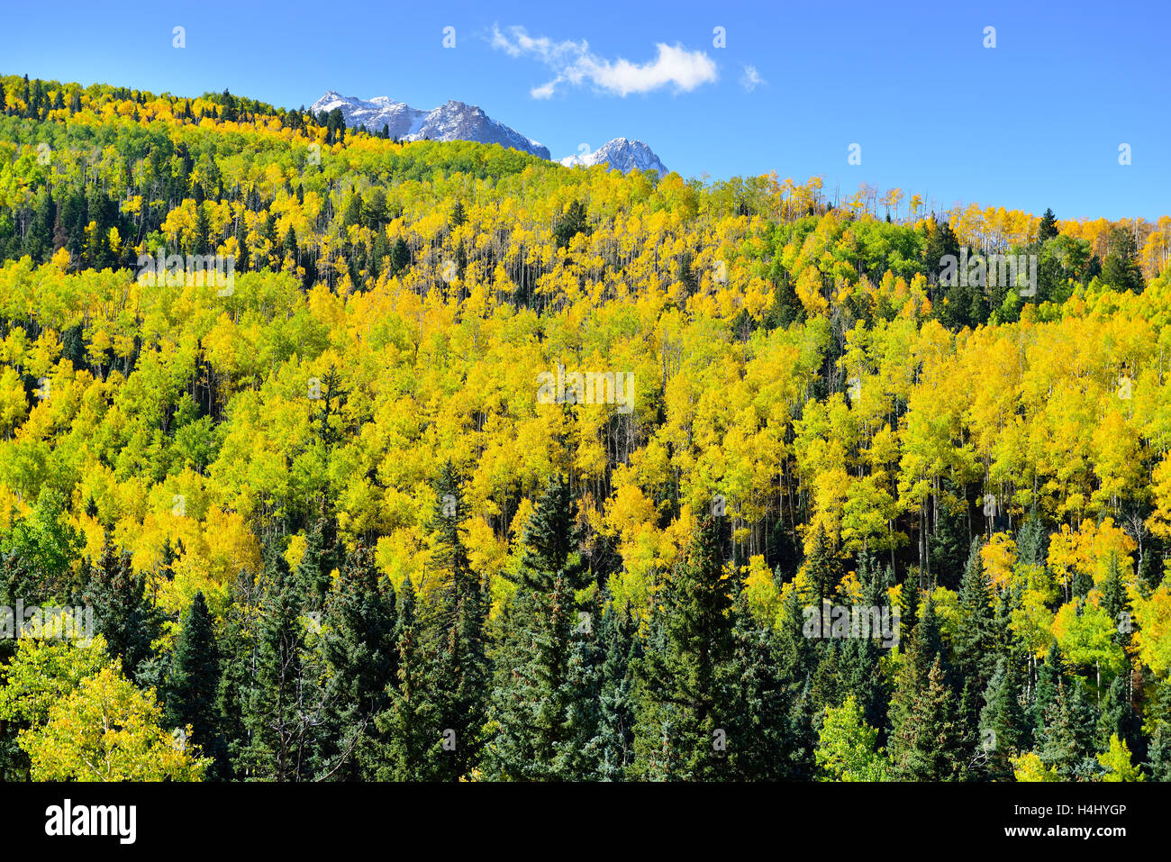 landscape view of the colorful colorado alpine scenery during foliage season near county road 7 Stock Photo