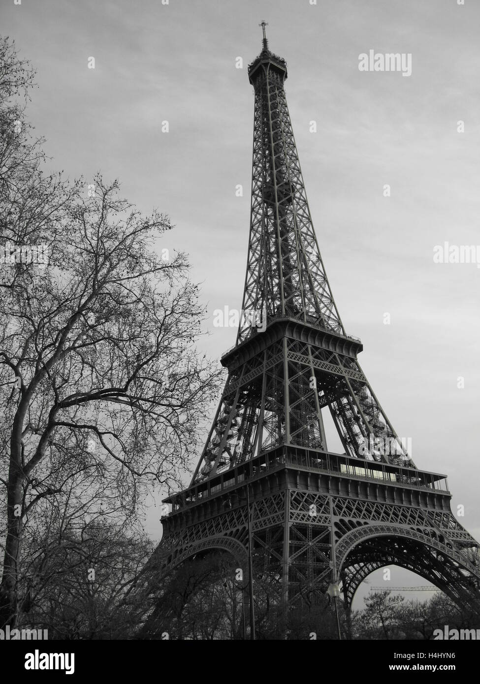 Black and white image, Eiffel Tower, trees, Paris, France. Stock Photo