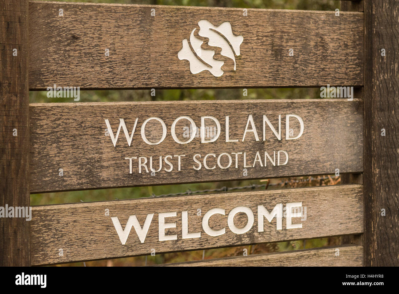 Woodland Trust Scotland sign at Glen Finglas, Brig O'Turk, Trossachs, Scotland, UK Stock Photo