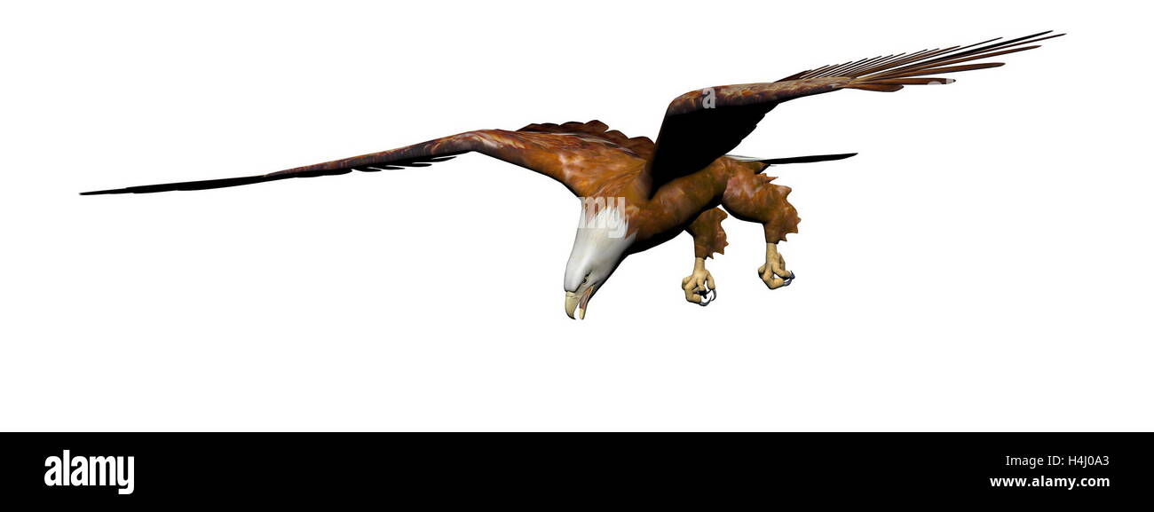 Eagle Graphic Stock Photos Eagle Graphic Stock Images