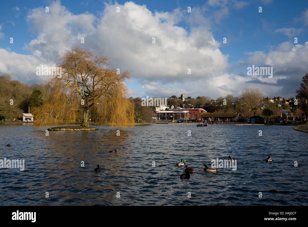 Helston Boating Lake; Cornwall; UK Stock Photo