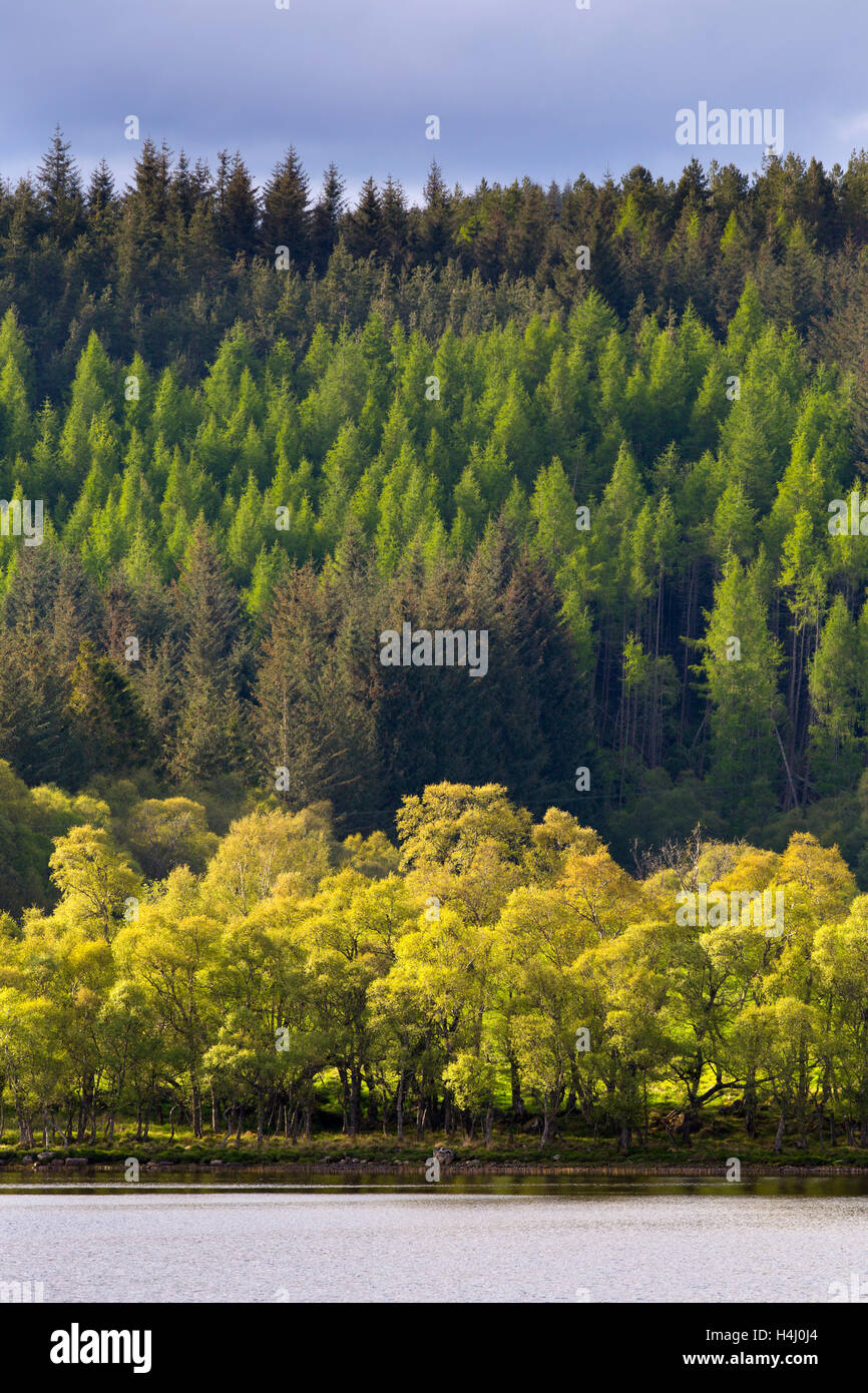 Ruthven hi-res stock photography and images - Alamy