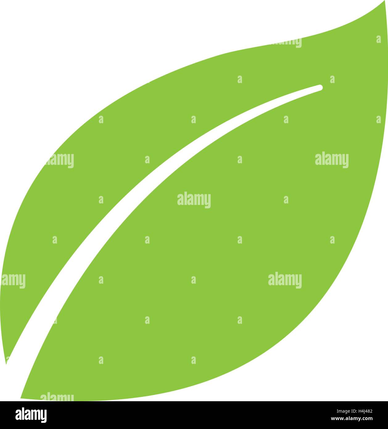 leafs plant ecology symbol Stock Vector Image & Art - Alamy