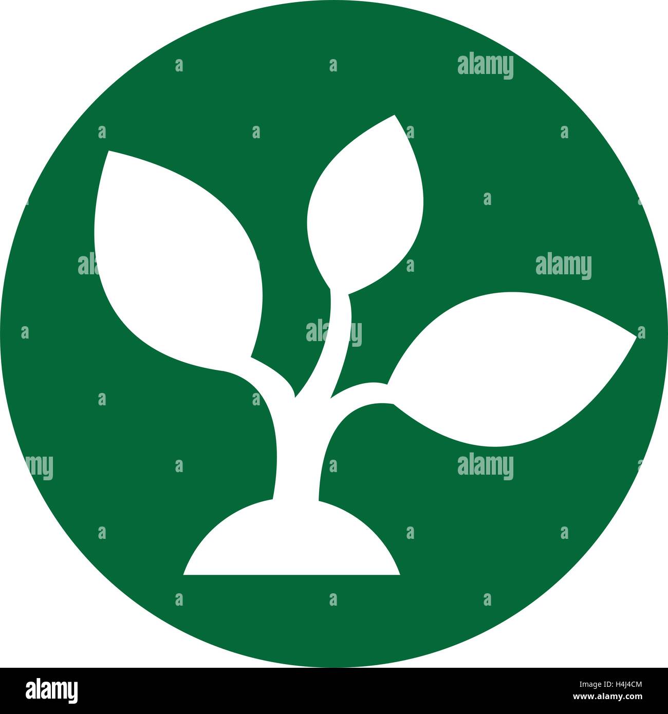 leafs plant ecology symbol Stock Vector Image & Art - Alamy