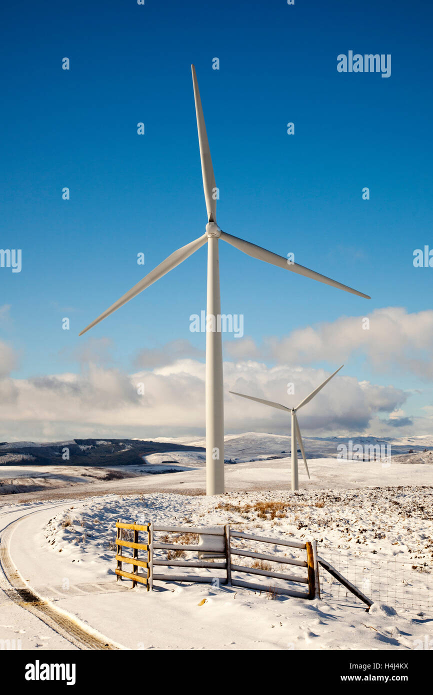 Wind turbines working in winter. Scottish Drumderg 32megawatt remote moorland wind farm